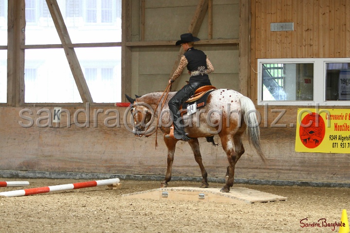 28-ApHC OT_201.jpg